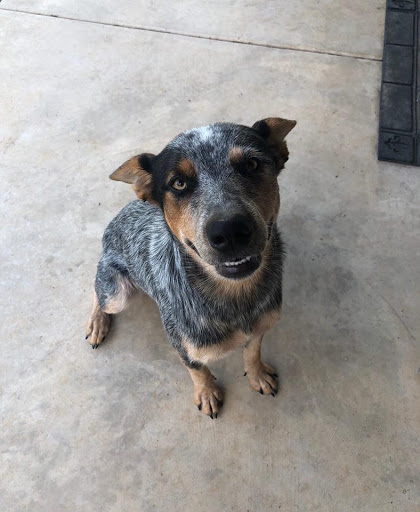 Insurance Agency «Mike Watson - State Farm Insurance Agent», reviews and photos