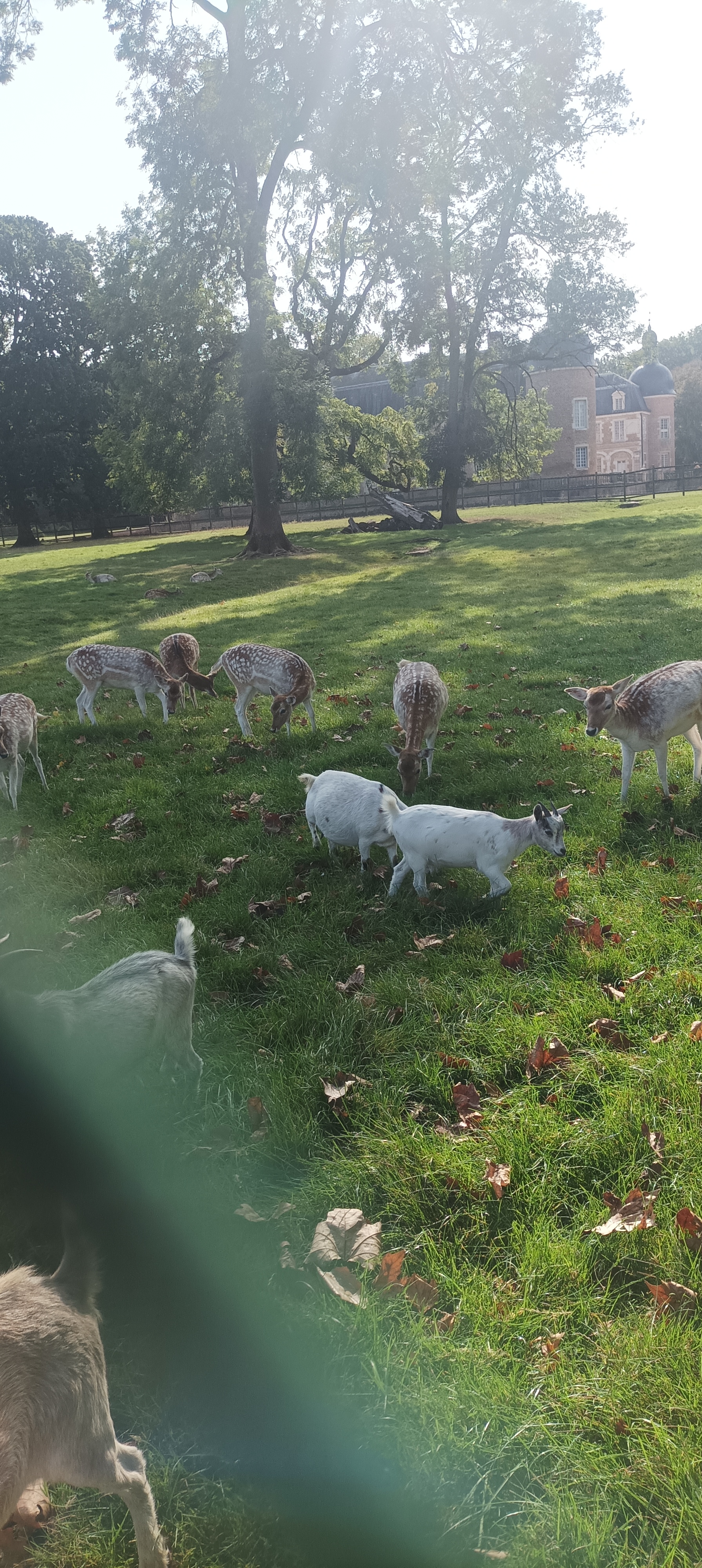 Photo n° 5 de l'avis de Didier.t fait le 12/10/2023 à 09:06