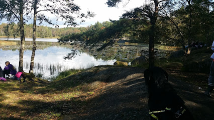 DK Trädfällning AB - Stubbfräsning