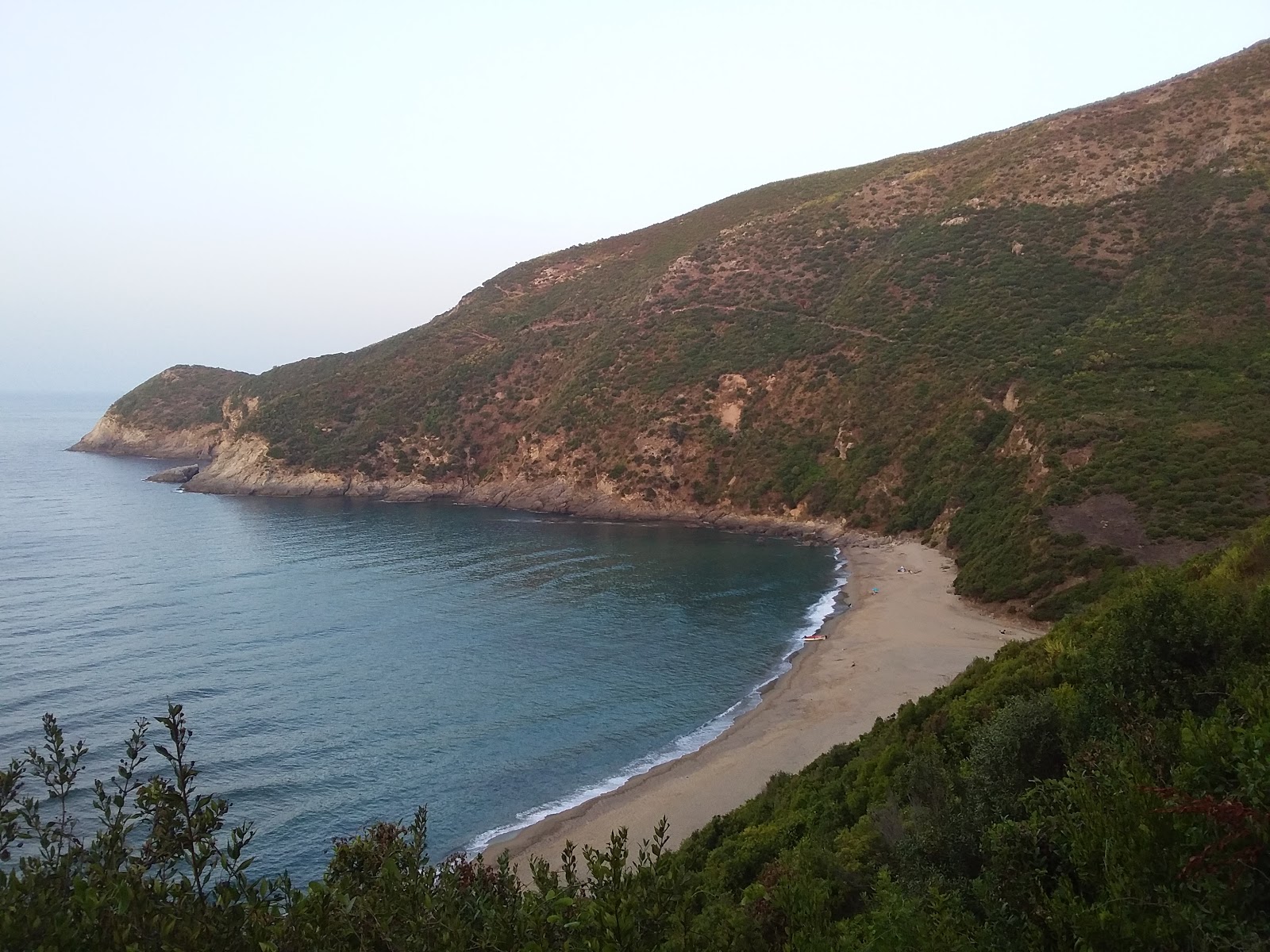 Romain Palace Beach'in fotoğrafı vahşi alan