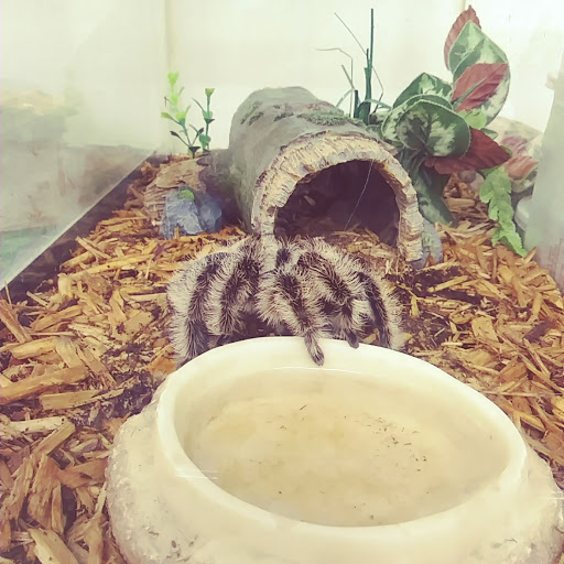 Animal Feed Store «Russell Feed & Supply», reviews and photos, 1312 NW Pkwy St, Azle, TX 76020, USA