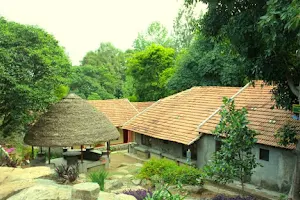 The Last Shola Cottages image