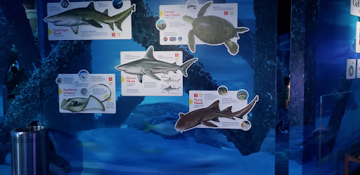 Aquarium «Audubon Aquarium of the Americas», reviews and photos, 1 Canal St, New Orleans, LA 70130, USA