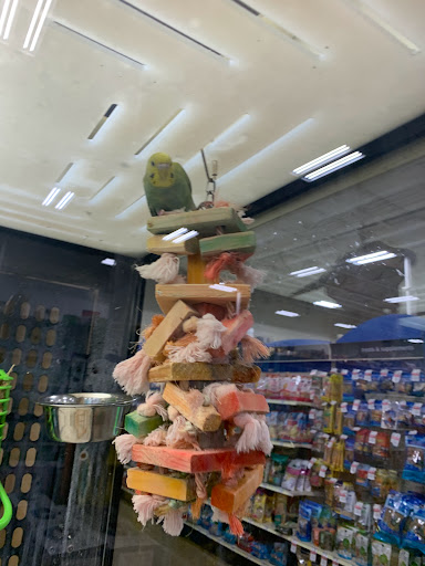 Pet Supply Store «PetSmart», reviews and photos, 20530 E 13 Mile Rd, Roseville, MI 48066, USA