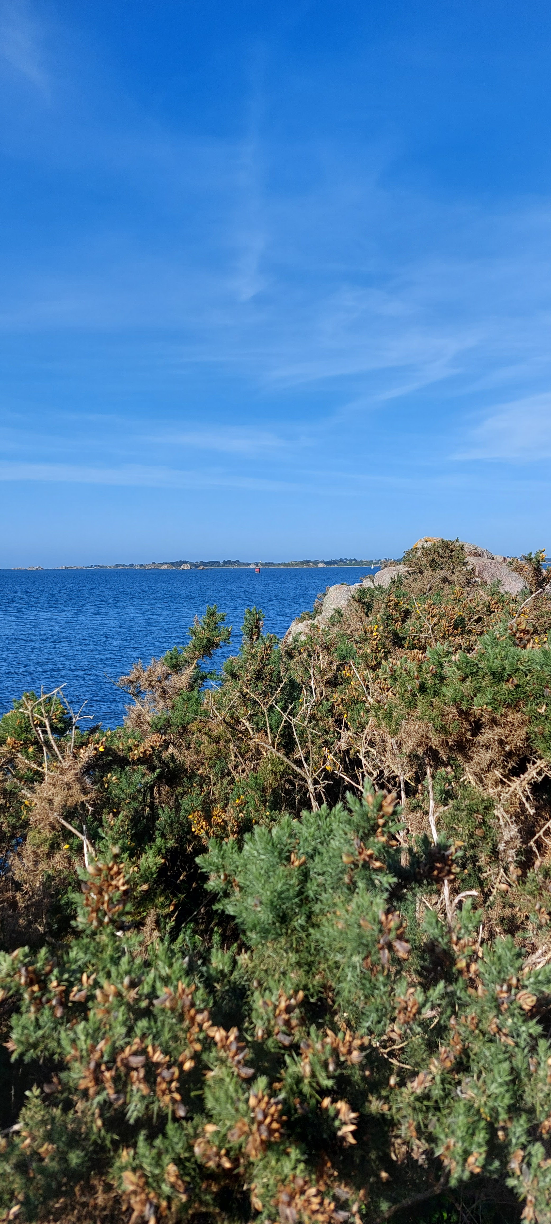 Photo n° 8 de l'avis de Christophe.a fait le 31/05/2022 à 15:04
