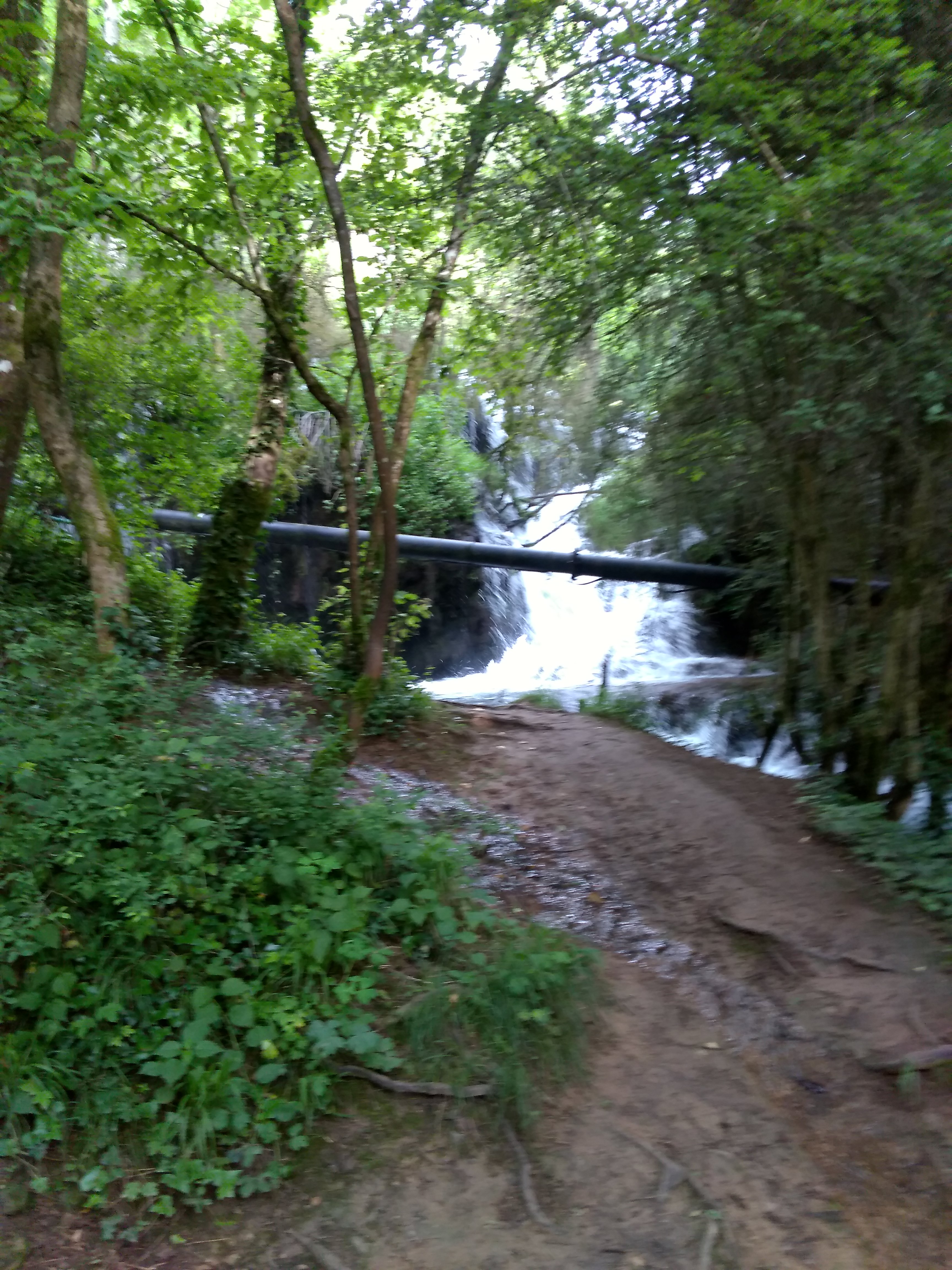 Photo n° 9 de l'avis de Thierry.v fait le 27/06/2018 à 10:34