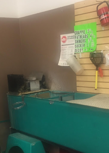 Auto Parts Store «Carquest Auto Parts», reviews and photos, 309 N Faxon Rd, Norwood Young America, MN 55368, USA