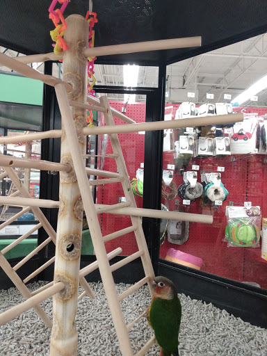 Pet Supply Store «Petco Animal Supplies», reviews and photos, 12014 SW 88th St, Miami, FL 33186, USA