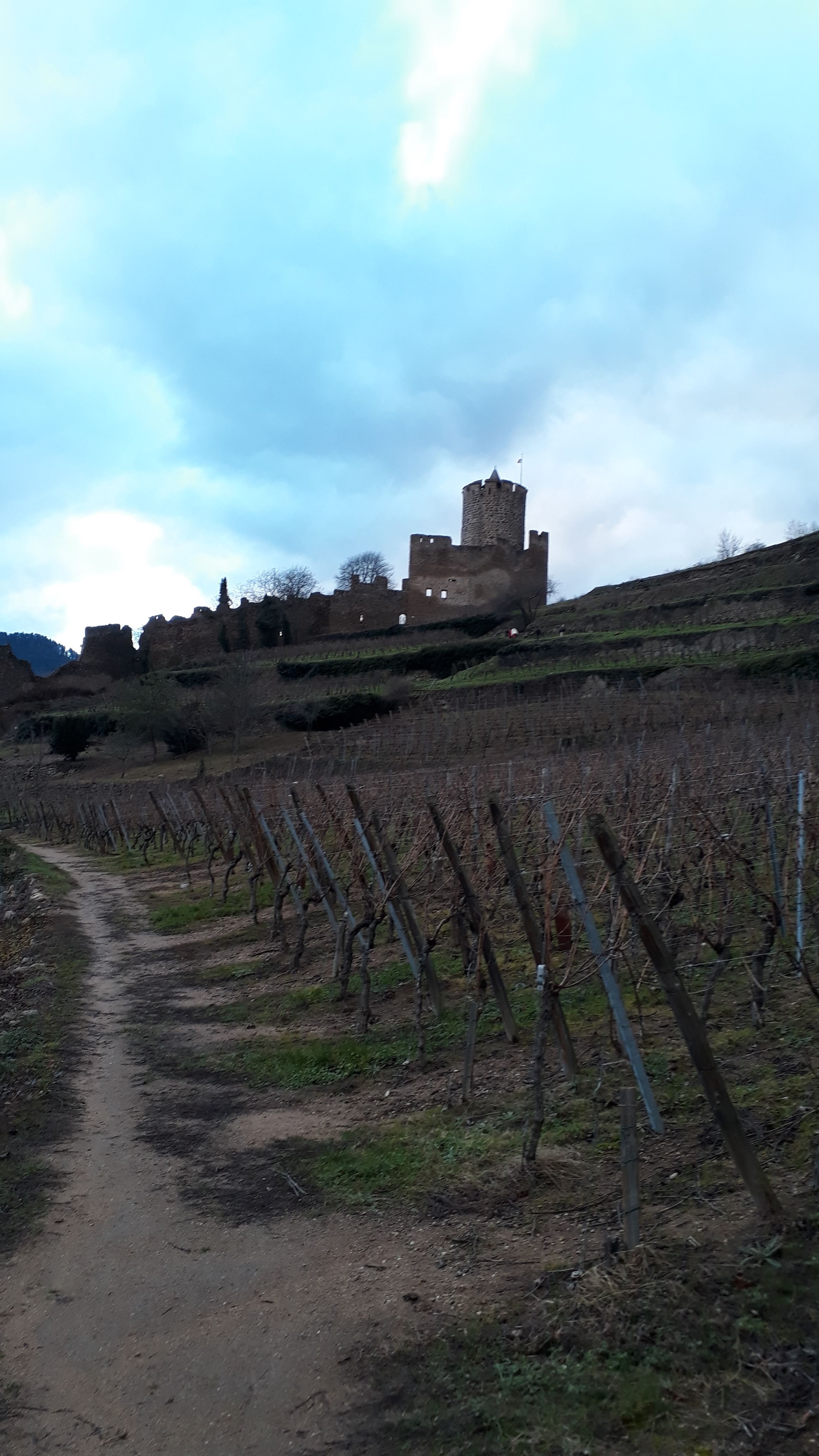 Photo n° 10 de l'avis de Didier.u fait le 25/12/2019 à 17:07