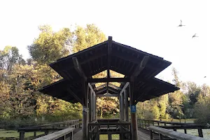 Fishtrap Creek Park image