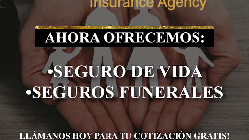 Insurance Agency «Veronicas Insurance Agency», reviews and photos