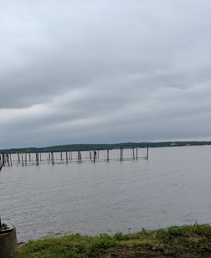 State Park «Midway State Park», reviews and photos, 4859 NY-430, Bemus Point, NY 14712, USA