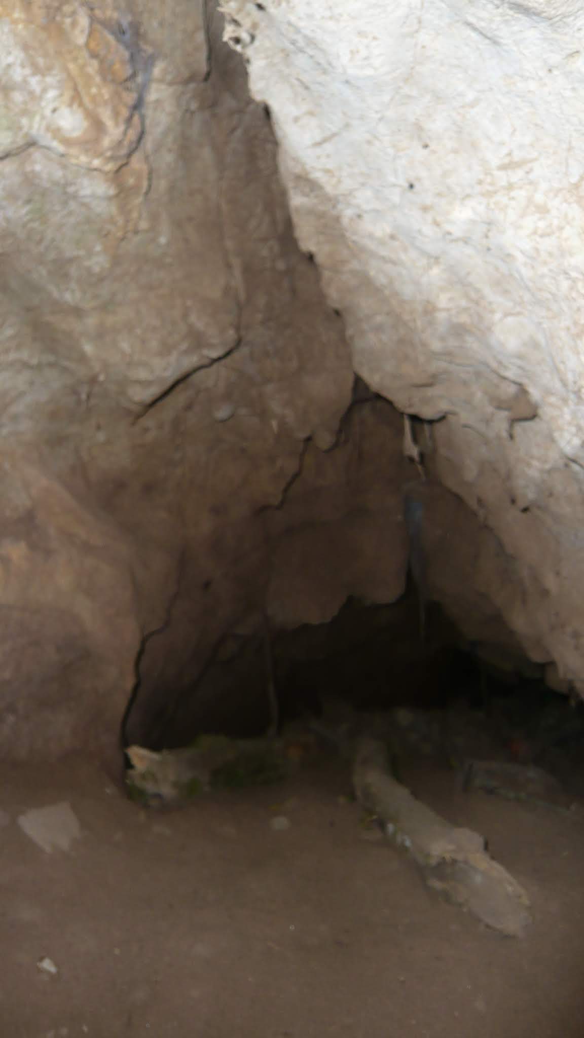 Photo n° 8 de l'avis de C.a fait le 14/07/2019 à 19:49