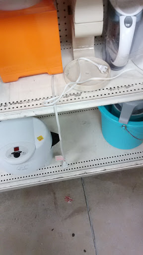 Thrift Store «Key Training Center», reviews and photos, 5337 W Gulf to Lake Hwy, Lecanto, FL 34461, USA