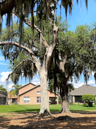 Golf Club «Oaks National Golf Club», reviews and photos, 1500 The Oaks Blvd, Kissimmee, FL 34746, USA