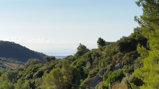 Affittacamere Da Emilio Bar Ristorante Contrada Balzo Di Cristo, 27, 87070 Cerchiara di Calabria CS, Italia