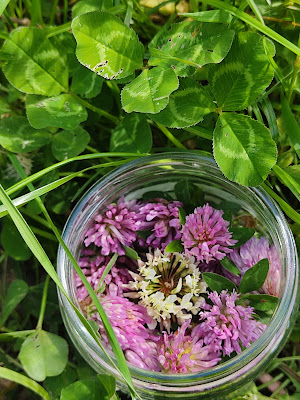 Les Fleurs d'Amande à Gigny