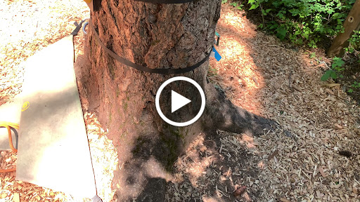 Tourist Attraction «Tree to Tree Adventure Park», reviews and photos, 2975 SW Nelson Rd, Gaston, OR 97119, USA