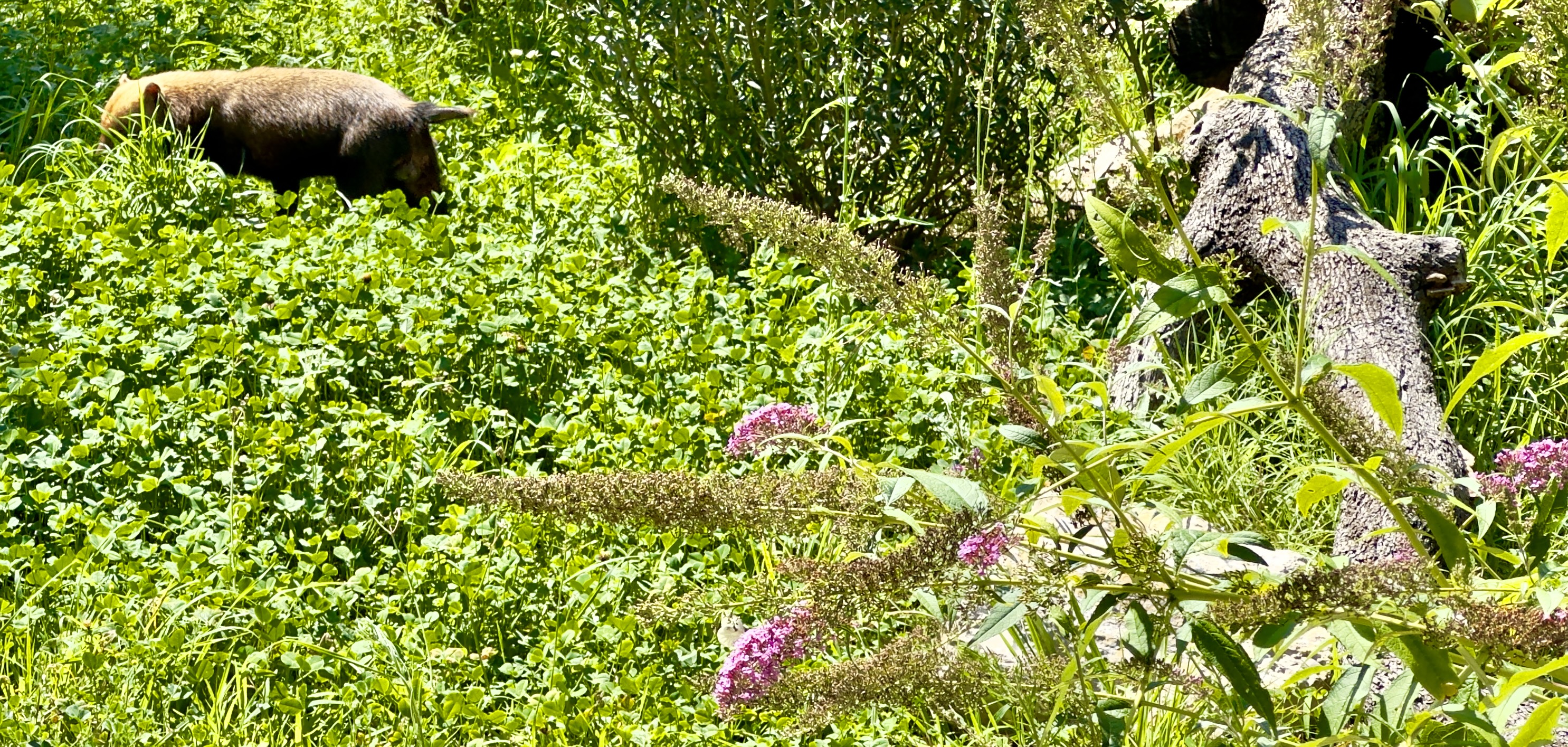 Photo n° 22 de l'avis de Franco.E fait le 15/08/2023 à 21:23