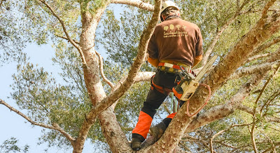 Societé les jardiniers à Aix-en-Provence