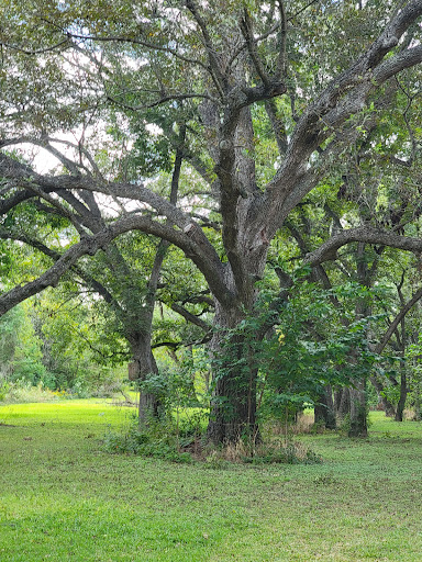 Performing Arts Theater «The Curtain Theatre», reviews and photos, 7400 Coldwater Canyon Dr, Austin, TX 78730, USA