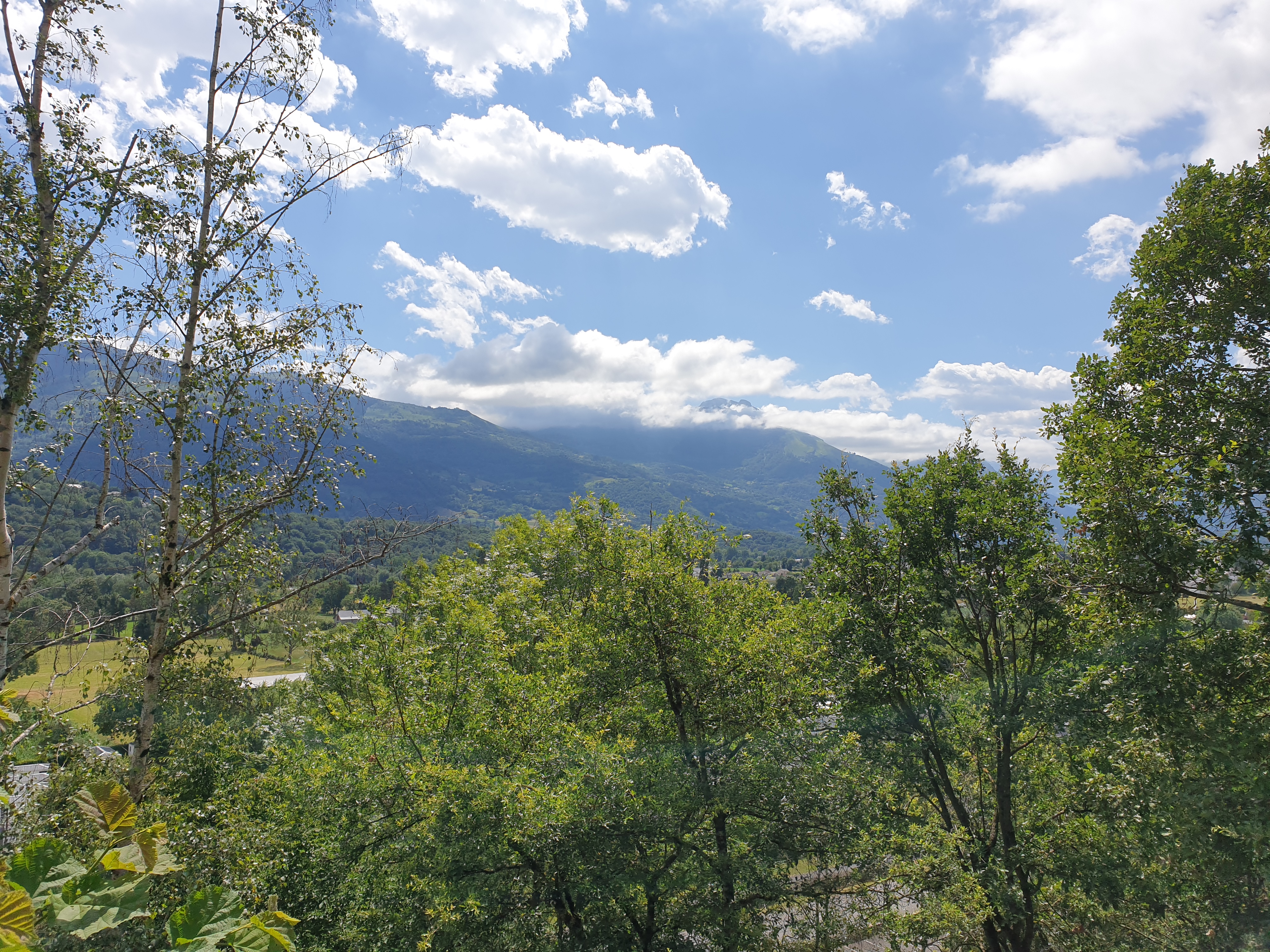 Photo n° 6 de l'avis de laurence.a fait le 15/07/2023 à 11:37