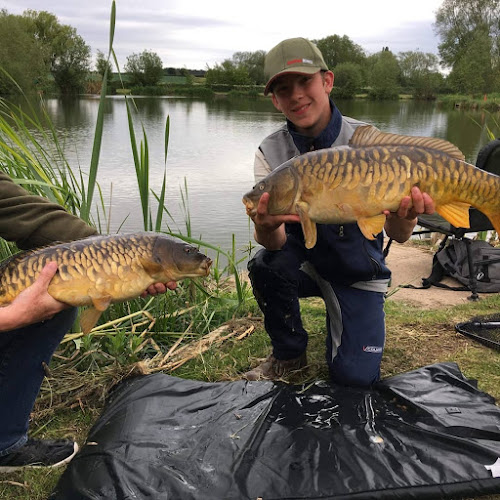 Reviews of Riverside Fishery Bawtry Yorkshire in Doncaster - Sports Complex