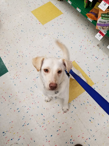 Pet Supply Store «Pet Supplies Plus», reviews and photos, 311 Sagamore Pkwy N, Lafayette, IN 47904, USA