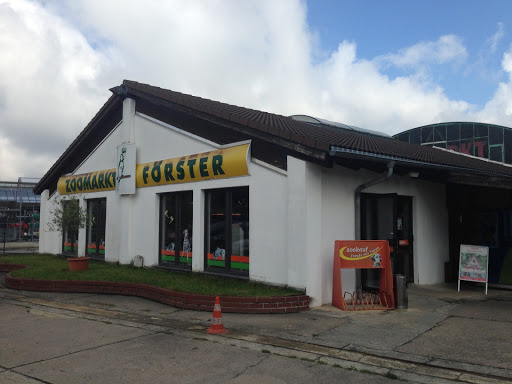 Der Zookauf Förster unter Kamenz, 