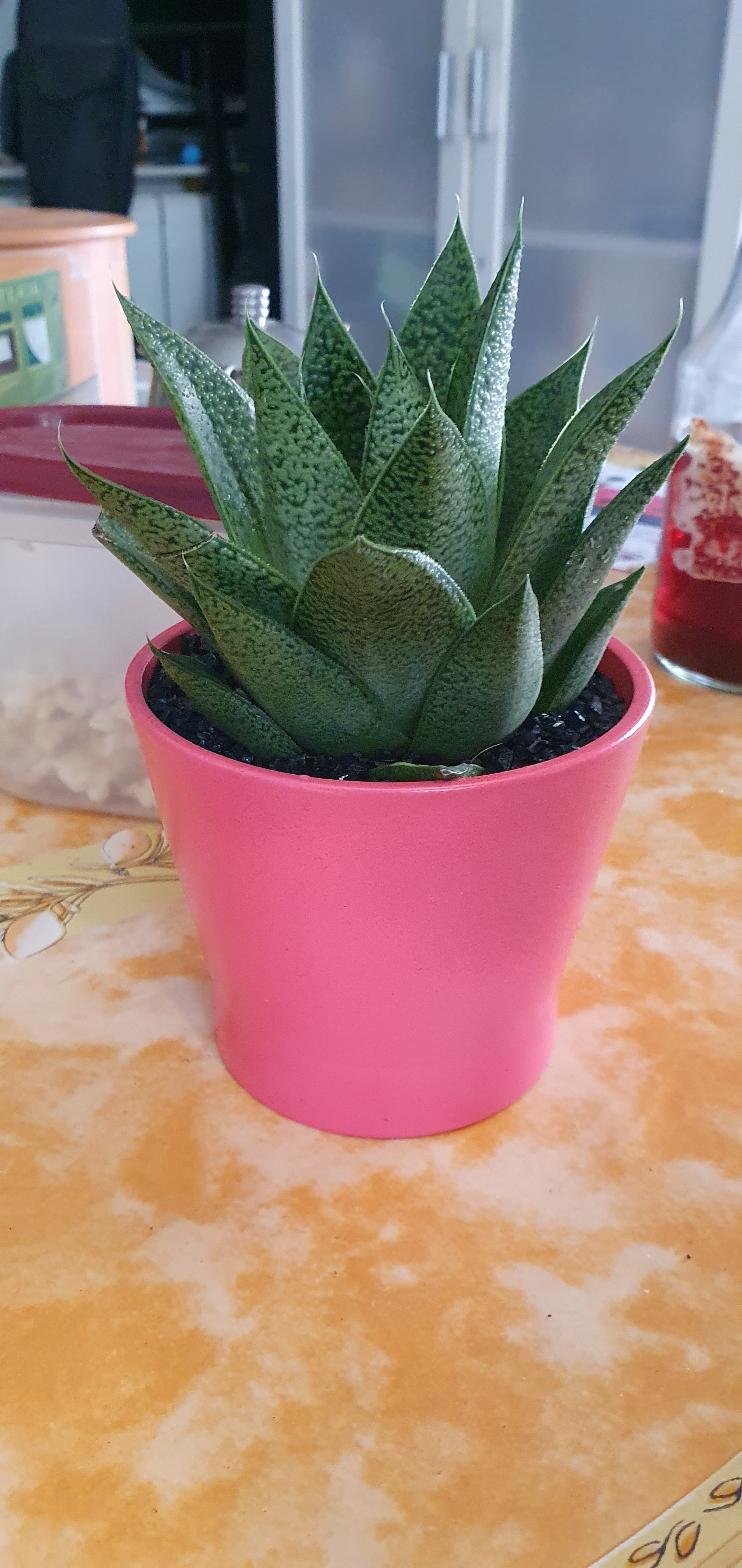 Photo n° 17 de l'avis de Laurine.h fait le 04/10/2021 à 19:17