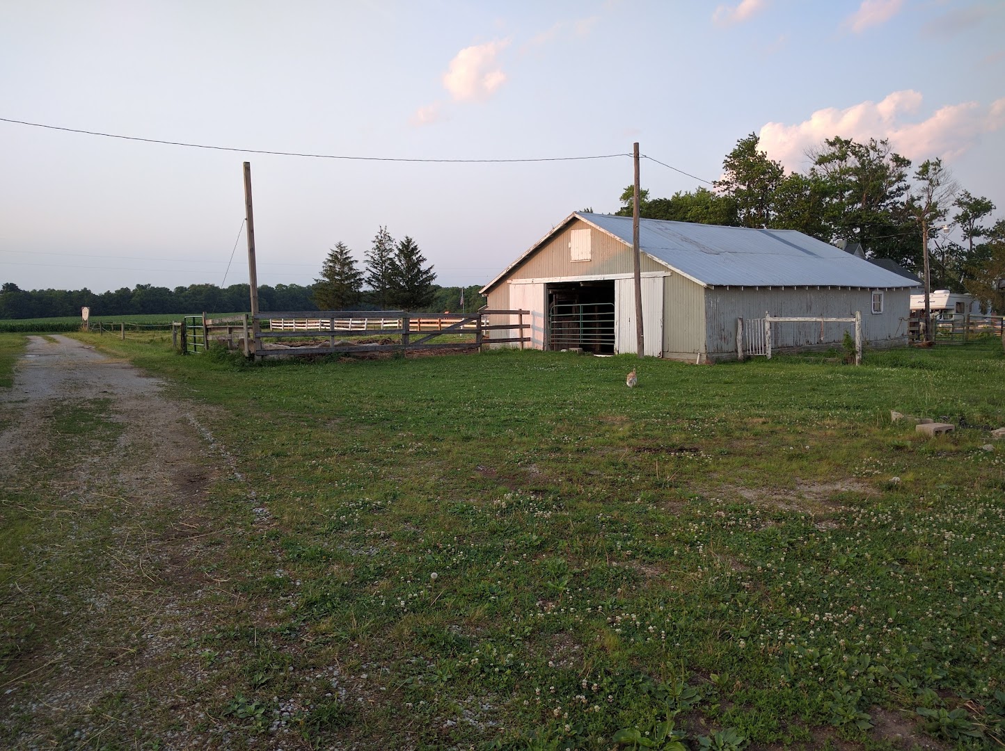 Crosswinds Equine Rescue