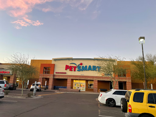 PetSmart, 2840 W Chandler Blvd, Chandler, AZ 85224, USA, 