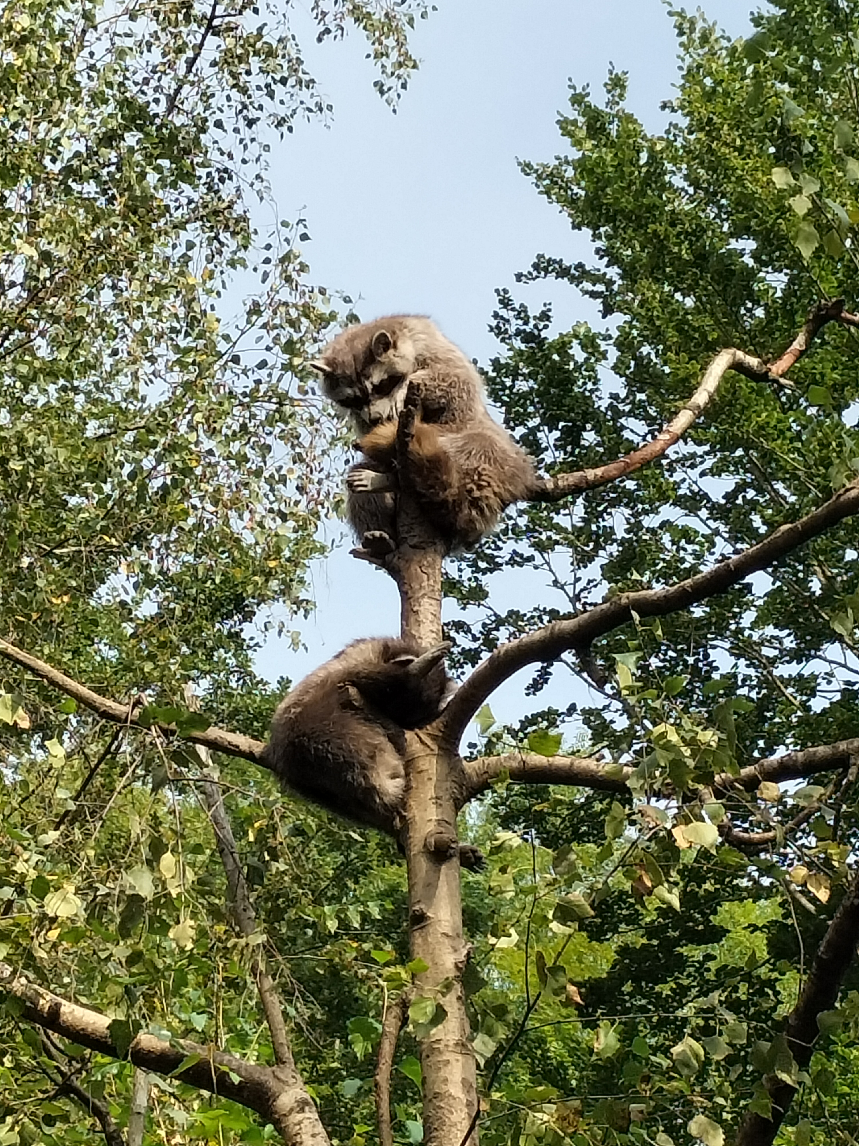 Photo n° 1 de l'avis de exmili. fait le 18/08/2023 à 19:14
