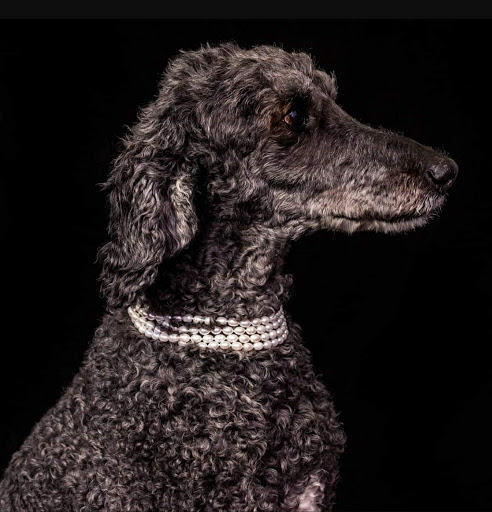 Jeweler «Boris Litwin Jewelers», reviews and photos, 7754 Camargo Rd, Cincinnati, OH 45243, USA