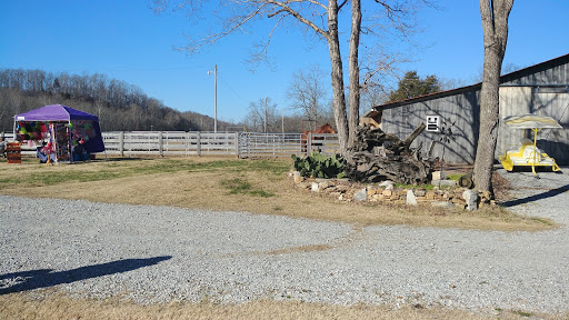 Tourist Attraction «Cactus Creek», reviews and photos, 1956 Yellow Creek Rd, Dickson, TN 37055, USA