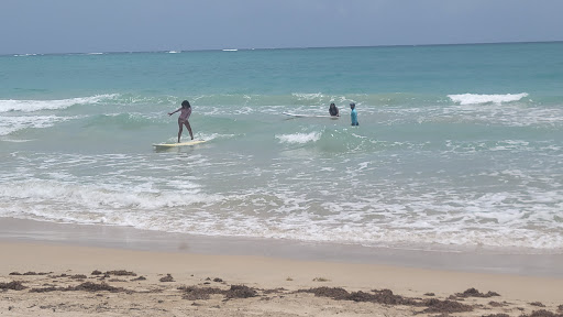 Caribbean Surf School