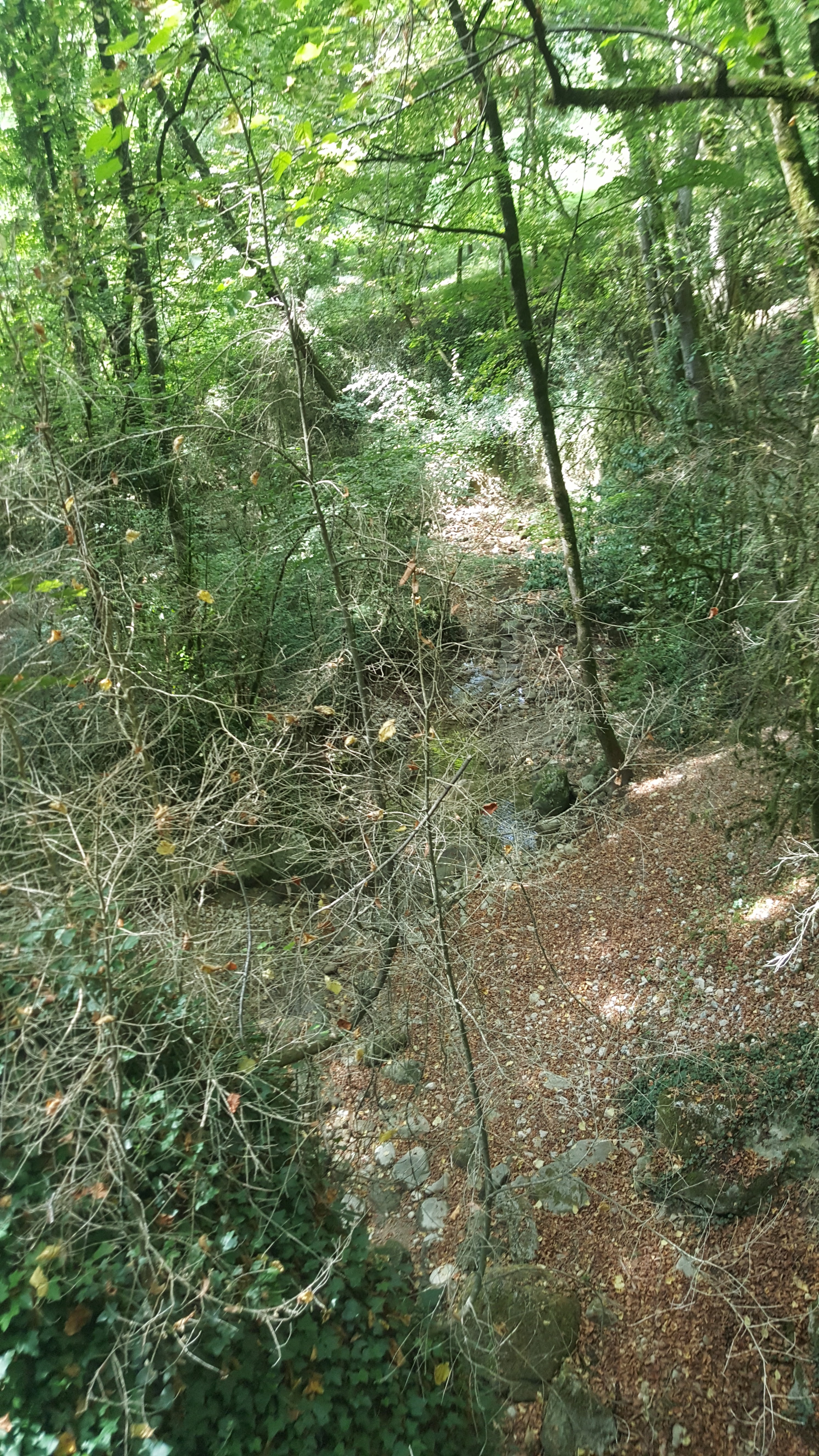 Photo n° 29 de l'avis de Vivi.o fait le 10/09/2018 à 07:44