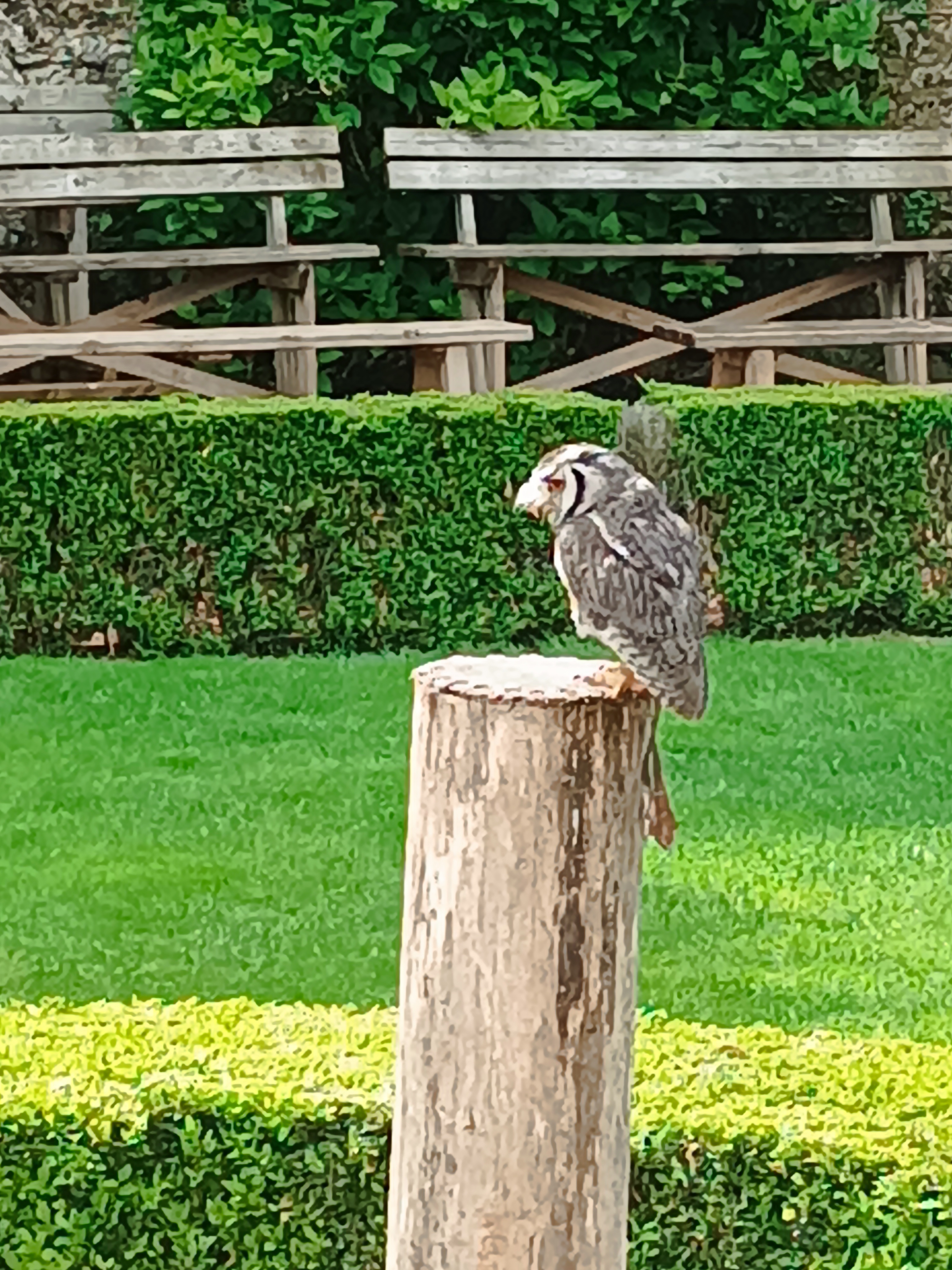 Photo n° 40 de l'avis de Nouredine.b fait le 17/05/2023 à 14:29