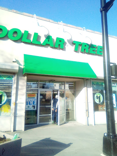 Dollar Store «Dollar Tree», reviews and photos, 1111 S Orange Ave, Newark, NJ 07106, USA
