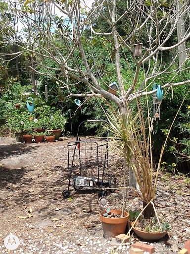 Community Center «College Park Community Center», reviews and photos, 2393 Elizabeth Ave, Orlando, FL 32804, USA