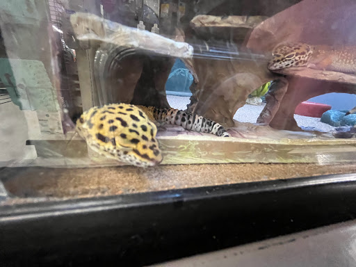 Pet Supply Store «Petco Animal Supplies», reviews and photos, 710 W 66th St, Richfield, MN 55423, USA