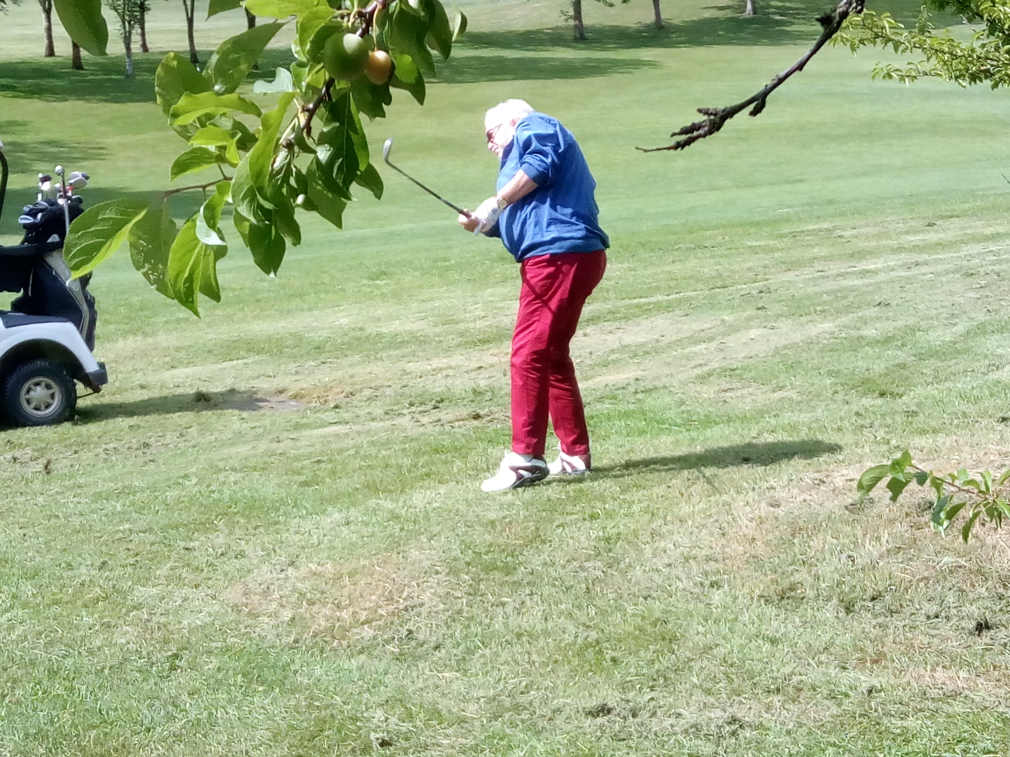 Photo n° 2 de l'avis de Jean.l fait le 06/06/2019 à 12:02