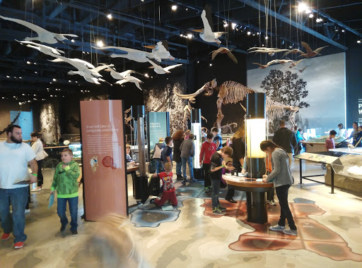 Natural History Museum «Natural History Museum of Utah», reviews and photos, 301 Wakara Way, Salt Lake City, UT 84108, USA