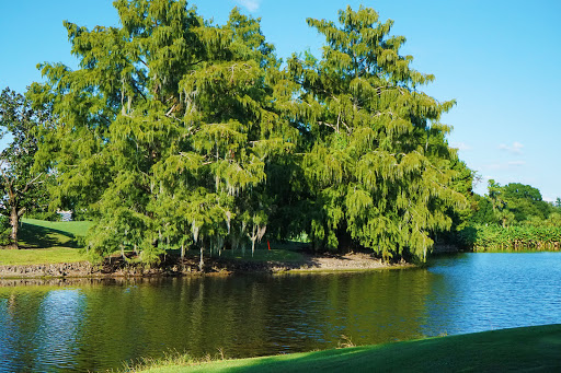 Golf Club «Tara Golf & Country Club», reviews and photos, 6602 Drewrys Bluff, Bradenton, FL 34203, USA