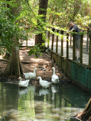 Zoo «Waccatee Zoological Farm», reviews and photos, 8500 Enterprise Rd, Myrtle Beach, SC 29588, USA