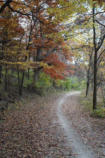 Nature Preserve «Bullfrog Lake», reviews and photos, 9600 Wolf Rd, Willow Springs, IL 60480, USA