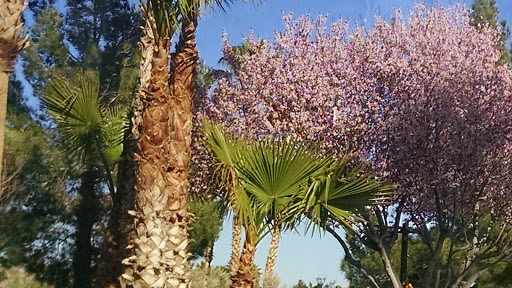 Golf Course «Rhodes Ranch Golf Club», reviews and photos, 20 E Rhodes Ranch Pkwy, Las Vegas, NV 89148, USA