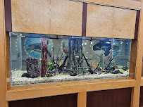 Aquatic Life Designs, LLC - Photo 8 - Car repair in Smyrna, GA, South Fulton