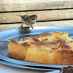 Photo n°6 de l'avis de Leeza.u fait le 09/05/2022 à 14:19 sur le  Klipper Segelschiffrestaurant à Berlin