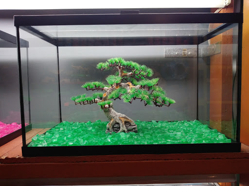 Pet Supply Store «Rutser Pet Store», reviews and photos, 5418 E Beverly Blvd, East Los Angeles, CA 90022, USA